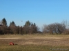 DSCN5614
