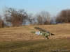 DSCN5625