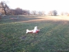DSCN5639