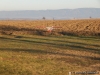 DSCN5654